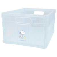 Snoopy's Brothers Clear Container
