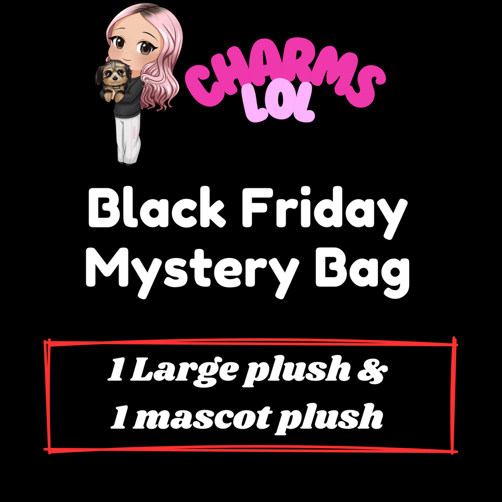 Black Friday Mystery Bag [1 Plush & 1 Mascot]