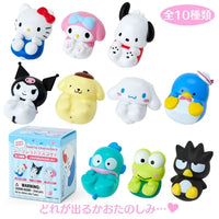 Sanrio Characters Rocking Mascot Blind Box