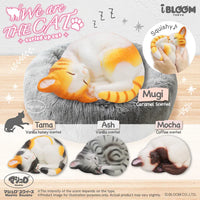 iBloom We Are The Cat Curled Up Squishy
