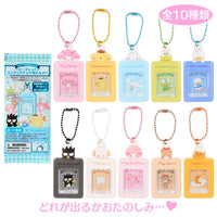 Sanrio "Enjoy Idol" Mini Card Holder Blind Bag [Blue]
